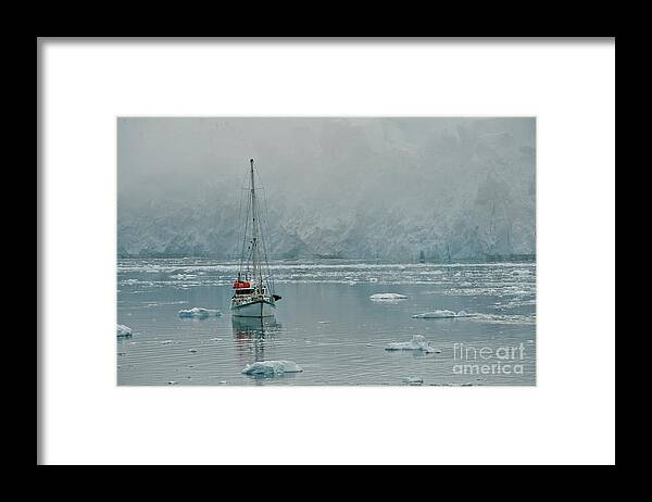 Sailing In Antarctica Framed Print featuring the photograph Sailing Under down under by Darcy Dietrich