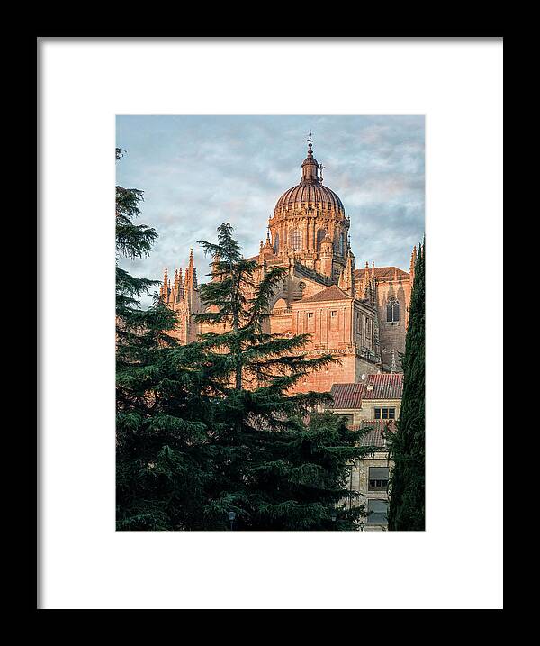 Salamanca Framed Print featuring the photograph Salamanca Spain Cathedral by Joan Carroll