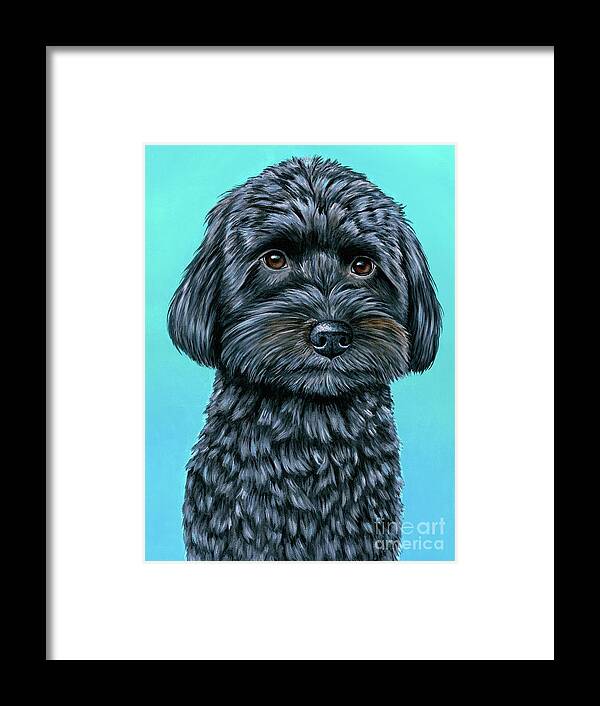 Schnoodle Framed Print featuring the painting Salem the Schnoodle on Teal by Rebecca Wang
