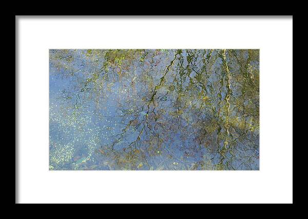 #salliewardrun#wakullaspringsstatepark#manatees#naturepreserves#northernflorida#usa Framed Print featuring the photograph Sallie Ward Run by Katherine Y Mangum