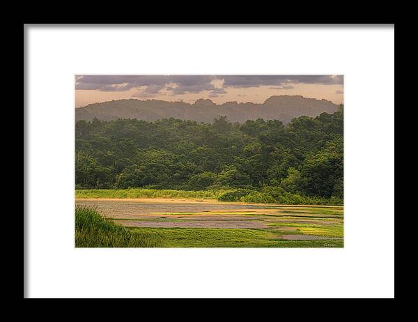 Nature Framed Print featuring the photograph Saltwater Marsh by Frank Wilson