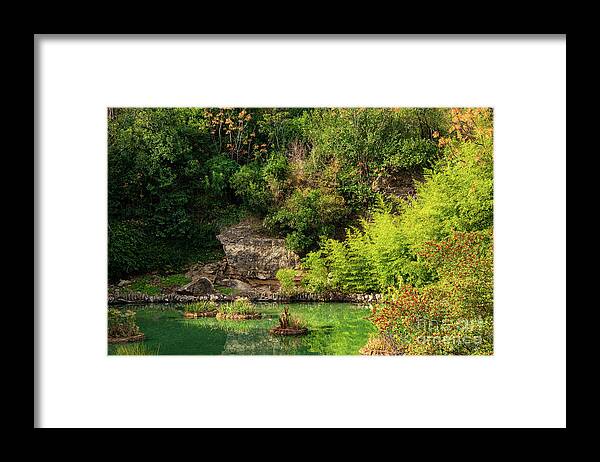 San Antonio Framed Print featuring the photograph San Antonio Japanese Garden Landscape and Pond Two by Bob Phillips