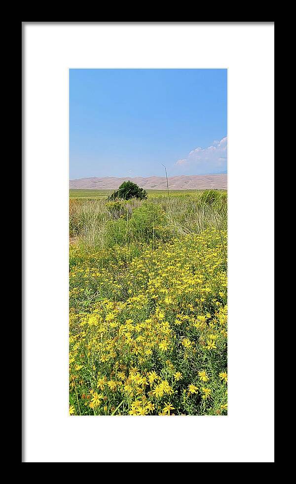 Flowers Framed Print featuring the photograph Sand and Flowers by Ally White