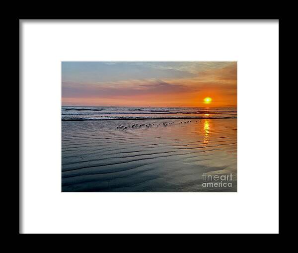 Beach Framed Print featuring the photograph Sand Pipers at Sunset by Katherine Erickson