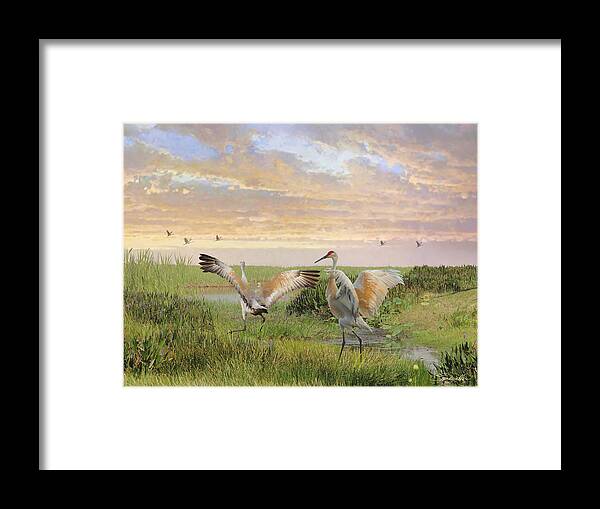 Birds Framed Print featuring the photograph Sandhill Crane Courtship by M Spadecaller
