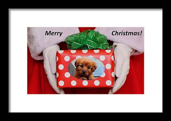 Christmas Framed Print featuring the photograph Santa Brings A Puppy by Nancy Ayanna Wyatt