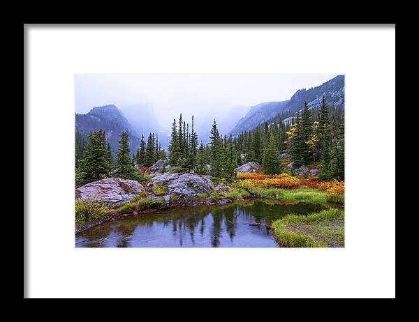 Saturated Forest Nature Forest Wilderness Wild Rocky Mountain National Park Rmnp Colorado American West West Rocky Rockies Mountain Mountains Tree Trees Pine Pines Pond Lake Light Reflection Storm Rain Fall Autumn Season Landscape Waterscape Forestscape Overcast Chad Dutson Saturation Wet Framed Print featuring the photograph Saturated Forest by Chad Dutson
