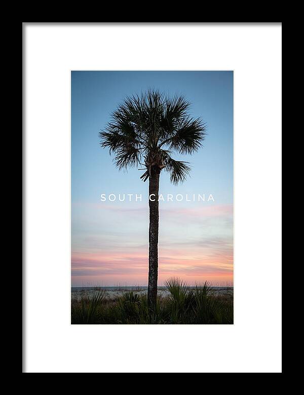 Tree Framed Print featuring the photograph SC Palmetto Tree at Sunset by Cindy Robinson