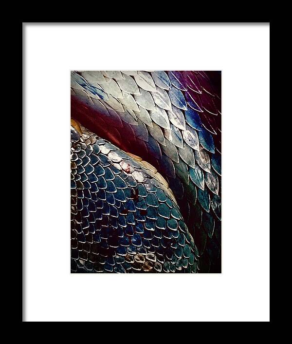 Reptile Framed Print featuring the photograph Scales by Kerry Obrist