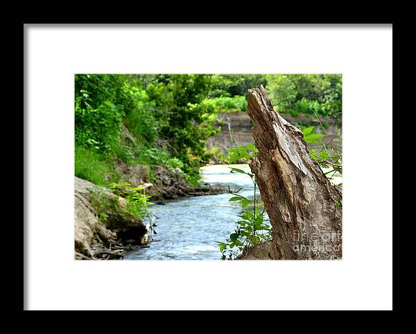 River Photography Framed Print featuring the photograph Scenic River Bank by Expressions By Stephanie