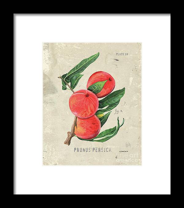 Peach Framed Print featuring the painting Scientific Fruit 2 by Debbie DeWitt