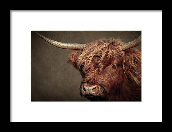 Scottish Highlander Framed Print featuring the digital art Scottish Highlander Portrait by Marjolein Van Middelkoop
