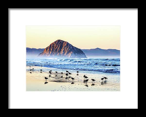 Morro Bay Framed Print featuring the photograph Gathered by Brett Harvey
