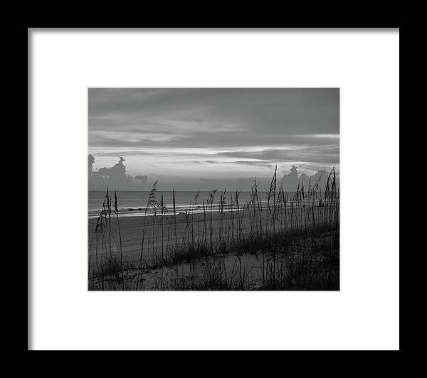 Beach Framed Print featuring the photograph Sea Oats against Horizon on Florida Beach by James C Richardson