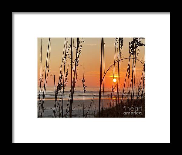 Sea Oats Framed Print featuring the photograph Sea oats at the beach by LeLa Becker