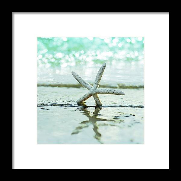 Beach Framed Print featuring the photograph Sea Star by Laura Fasulo