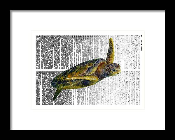 Underwater Framed Print featuring the painting Sea Turtle 2 on Dictioinary by Hailey E Herrera