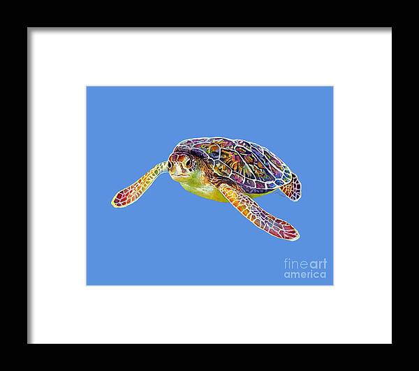 Turtle Framed Print featuring the painting Sea Turtle 3 - solid background by Hailey E Herrera