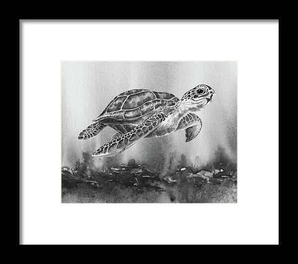 Turtle Framed Print featuring the painting Sea Turtle Gray Watercolor Ocean Creature VIII by Irina Sztukowski