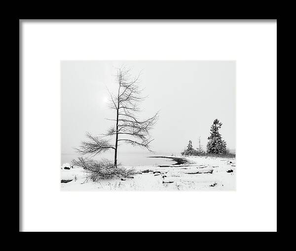 Landscape Framed Print featuring the photograph Seaborne Trees and Sun Black and White by Allan Van Gasbeck