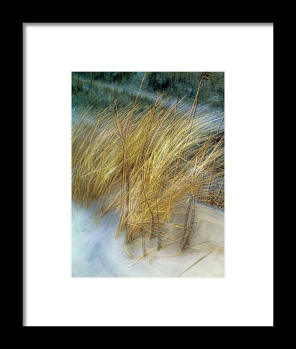 Seagrass Framed Print featuring the photograph Seagrass at Watch Hill, Rhode Island by Cordia Murphy