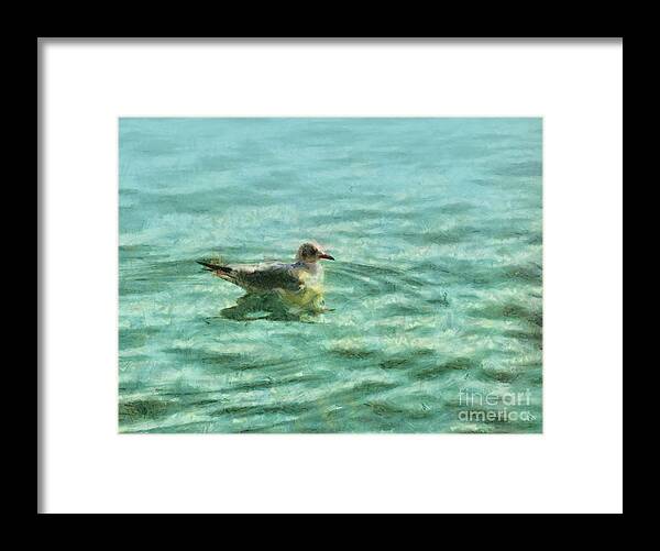 Seagull Framed Print featuring the painting Seagull by Alexa Szlavics