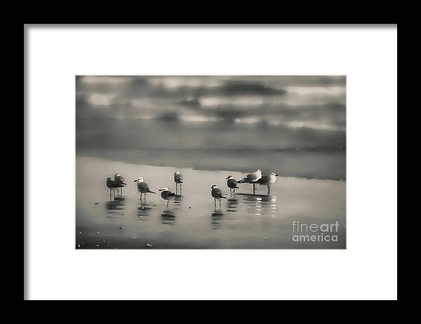 Diana Framed Print featuring the photograph Seagulls Enjoying a Sunset-Semi-Abstract by Diana Mary Sharpton