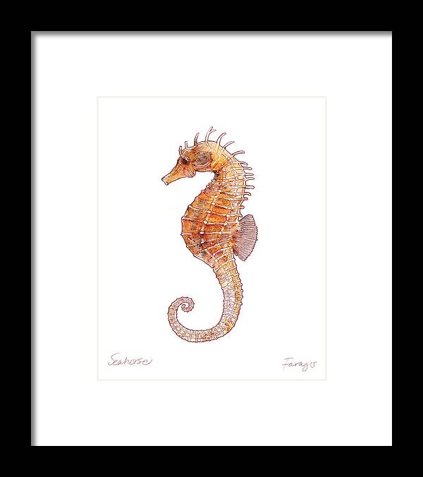 Hippocampus Framed Print featuring the drawing Seahorse by Peter Farago