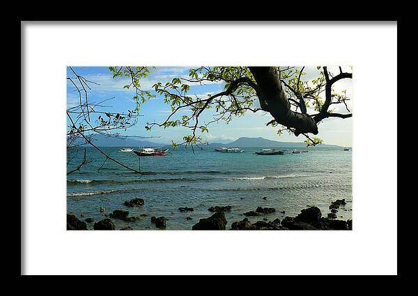 Tree Framed Print featuring the photograph Seaside landscape with tree by Robert Bociaga
