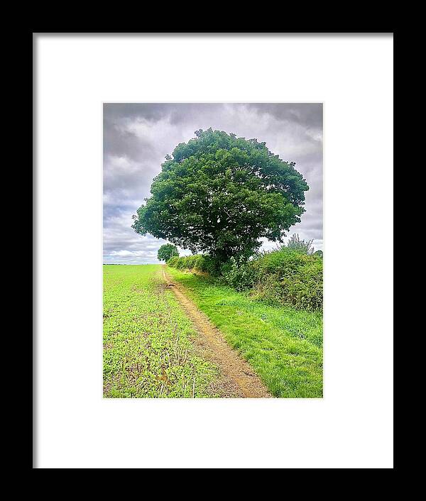 Seasons Framed Print featuring the photograph Season Tree July 2022 by Gordon James