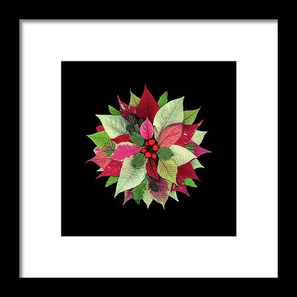 Flowers Framed Print featuring the photograph Seasonal 02 by Sandra R Schulze Photography