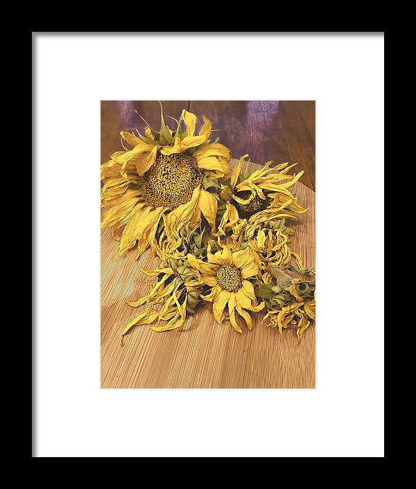 Sunflowers Framed Print featuring the digital art Seasons End by Juliette Becker