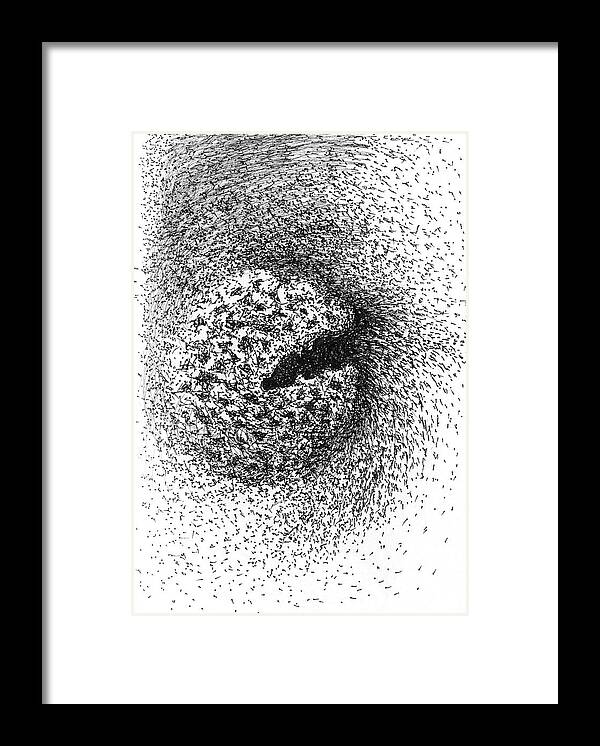 Seed Framed Print featuring the drawing Seedpod Too by Franci Hepburn