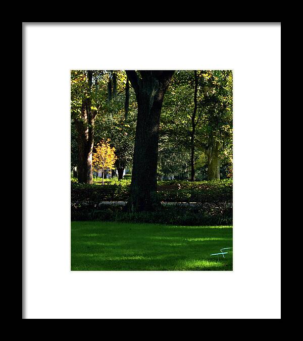 Forsyth Park Framed Print featuring the photograph Seen from Afar by Theresa Fairchild