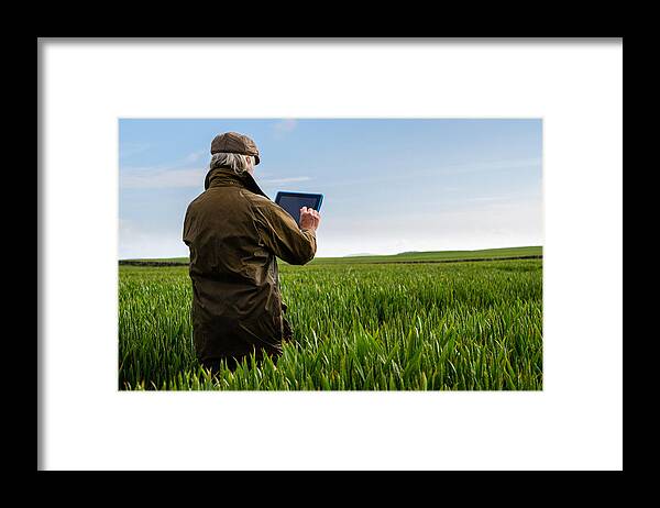 Farm Worker Framed Print featuring the photograph Senior man using a digital tablet in a field by JohnFScott