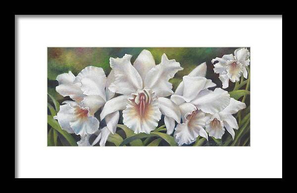 Oil Painting Portrait Of The White Cattleya Orchid In Close Detail With A Background Of Greenery. Inspiration Comes From The American Orchid Society In Delray Beach Framed Print featuring the painting Sensual White Orchids by Nancy Tilles