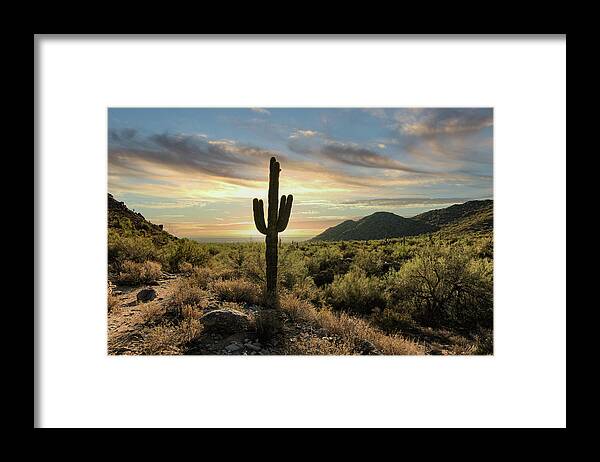 Desert Framed Print featuring the photograph Sentinel Sunrise by Jim Painter