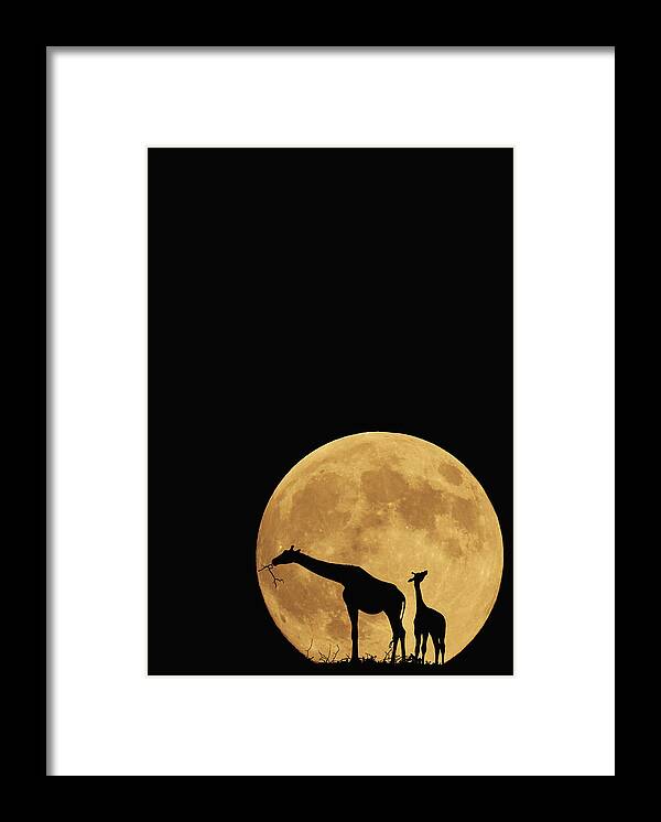 Yellow Framed Print featuring the photograph Serengeti Safari by Carrie Ann Grippo-Pike