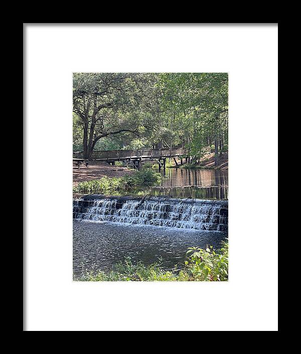 Park Framed Print featuring the photograph Sesqui State Park by Matthew Seufer