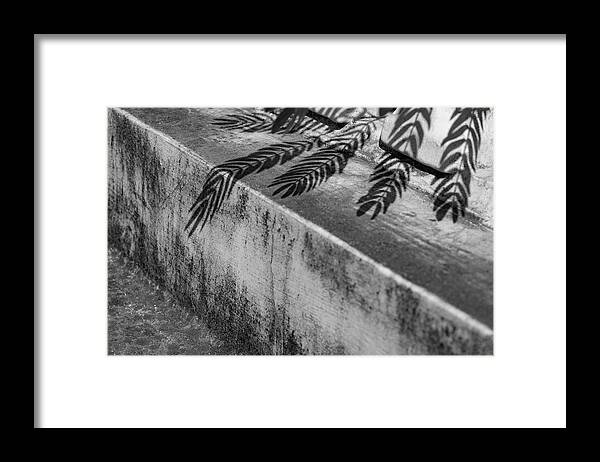 Shadow Leaves Framed Print featuring the photograph Shadow Leaves by Prakash Ghai