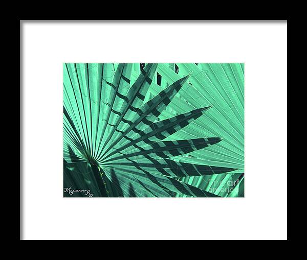 Nature Framed Print featuring the photograph Shadows on Palm Leaves by Mariarosa Rockefeller