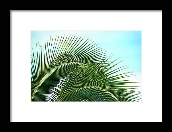 Hawaii Framed Print featuring the photograph Shapes of Hawaii 17 by Ellen Cotton
