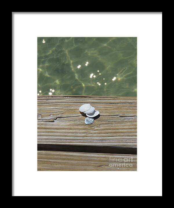 Florida Framed Print featuring the photograph She Sells Sea Shells by World Reflections By Sharon