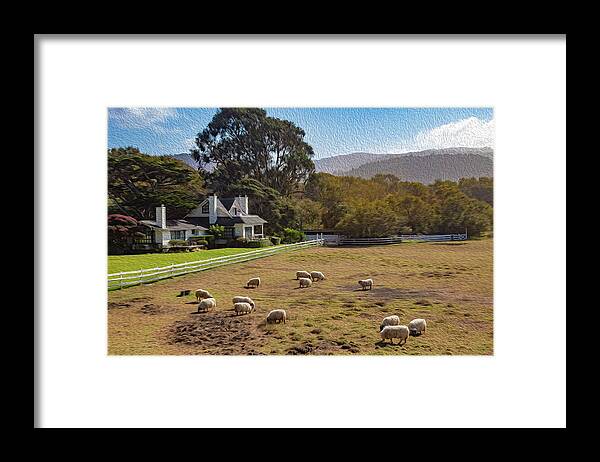 Digital Paintings Framed Print featuring the photograph Sheep at Mission Ranch by Robert Carter