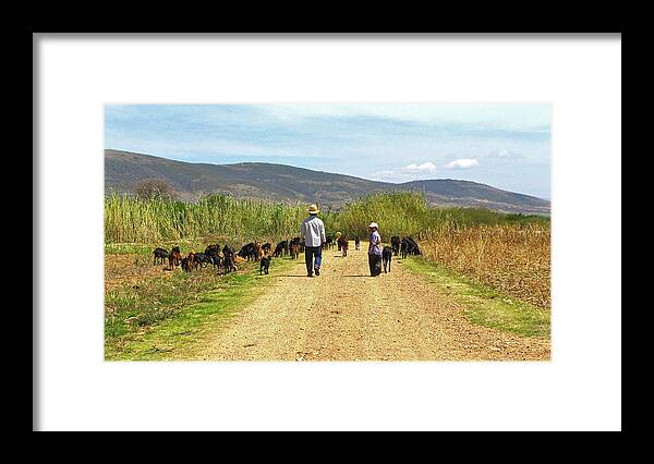 Shepherds Framed Print featuring the photograph Shepherds in Zegache by Lorena Cassady