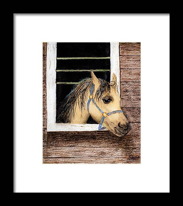 Art Awareness Light And Colour Framed Print featuring the painting Sherazad the Horse Watercolor Art by Sher Nasser