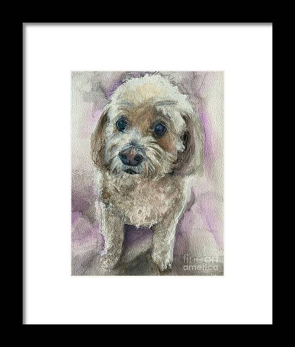Pet Portrait Commission Framed Print featuring the painting Sheyne by Jamie Derr
