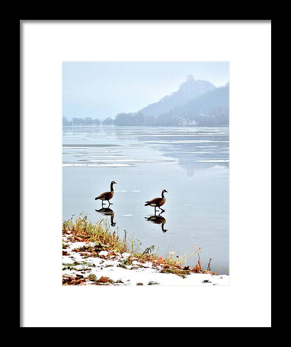 Geese Framed Print featuring the photograph Shortcut by Susie Loechler