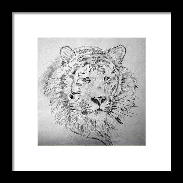 Tiger Framed Print featuring the drawing Siberian Tiger by Vallee Johnson