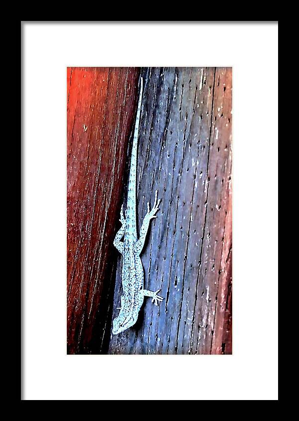 Waywardmuse Framed Print featuring the photograph Side-Blotched Lizard by Judy Kennedy